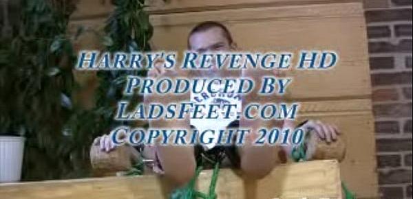 Harry&039;s Revenge HD